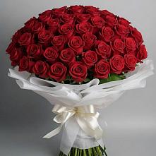 Букет 101 Красная роза Блэк Мэджик в Старом Крыму