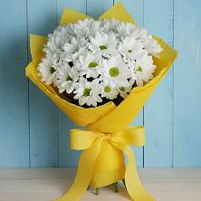 Букет цветов из:  Хризантемы в Старом Крыму