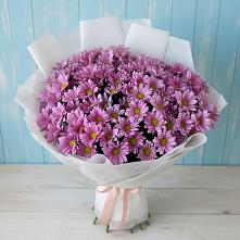 Букет цветов из:  Хризантемы в Старом Крыму