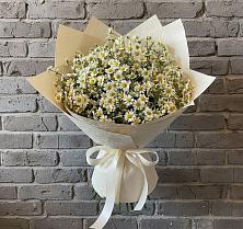 Букет цветов из:  Ромашки #REPLACE_PRED# Старом Крыму