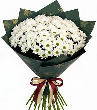 Букет цветов из:  Хризантемы в Старом Крыму