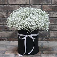 Цветочная композиция из Гипсофила в шляпной коробке в Старом Крыму